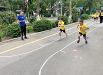 img (7)